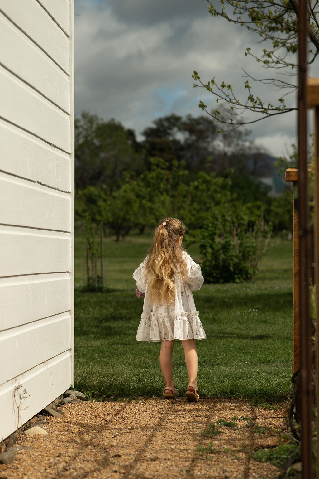 Willow Dress - Cottage Garden