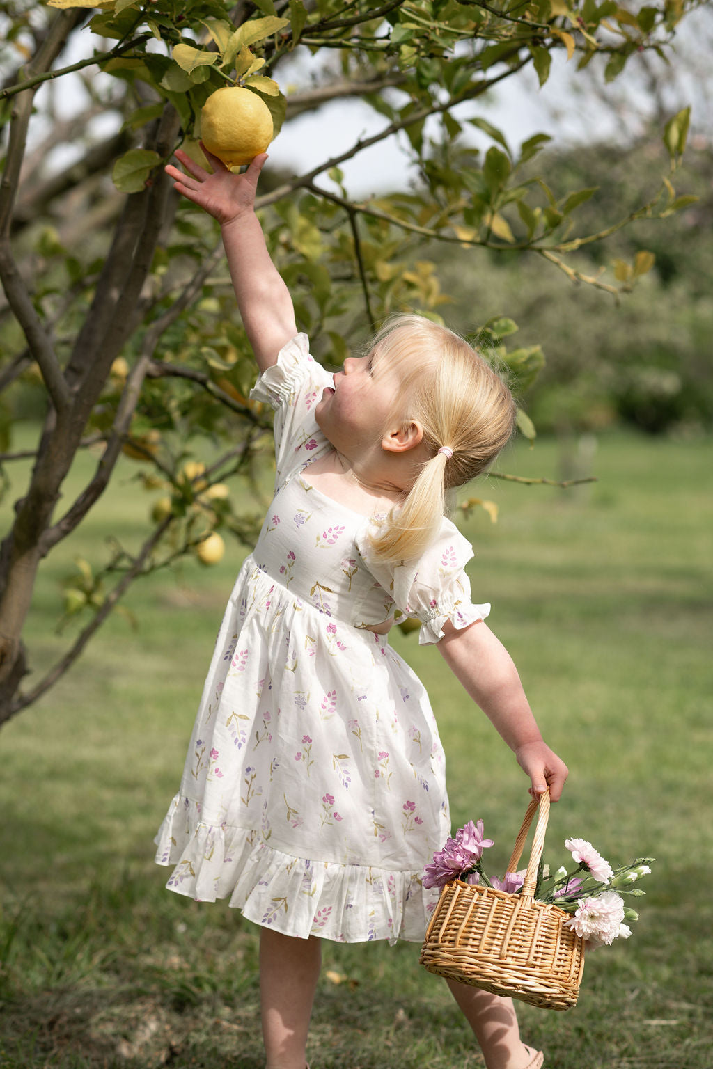 Harlow Dress - Cottage Garden