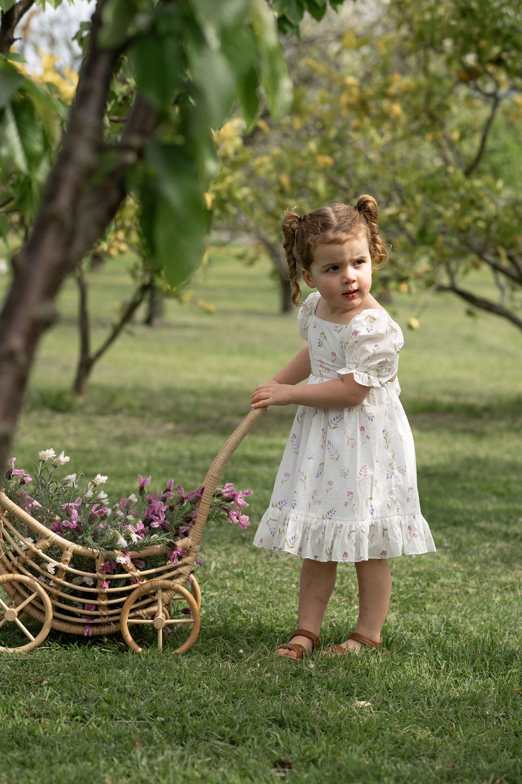 Harlow Dress - Cottage Garden